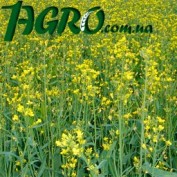 1agro.com.ua