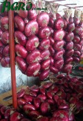1agro.com.ua