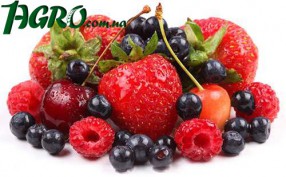 1agro.com.ua