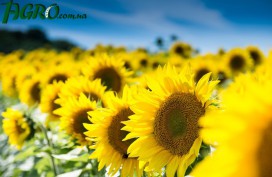 1agro.com.ua