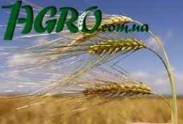 1agro.com.ua