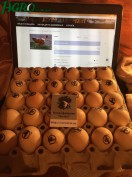1agro.com.ua