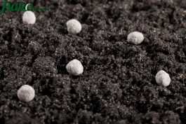 1agro.com.ua