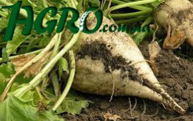 1agro.com.ua
