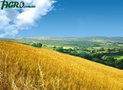 1agro.com.ua