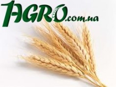 1agro.com.ua