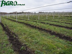 1agro.com.ua