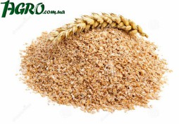 1agro.com.ua