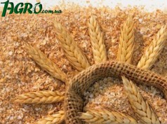1agro.com.ua