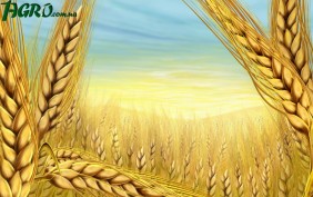 1agro.com.ua