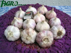 1agro.com.ua