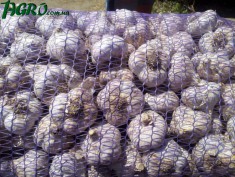 1agro.com.ua