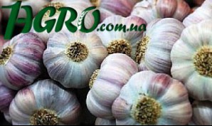 1agro.com.ua
