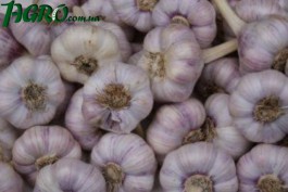 1agro.com.ua