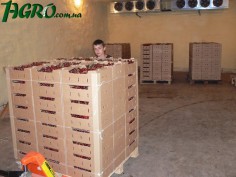 1agro.com.ua