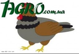 1agro.com.ua