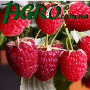 1agro.com.ua