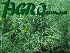 1agro.com.ua