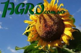 1agro.com.ua