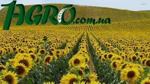 1agro.com.ua