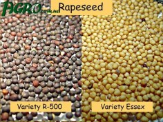 1agro.com.ua