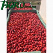 1agro.com.ua