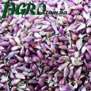 1agro.com.ua