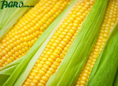 1agro.com.ua
