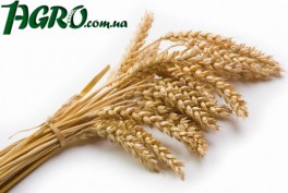 1agro.com.ua