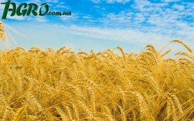 1agro.com.ua