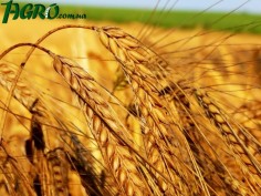 1agro.com.ua