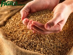 1agro.com.ua