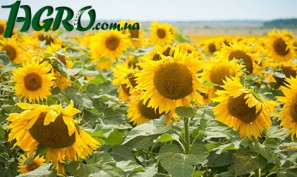 1agro.com.ua