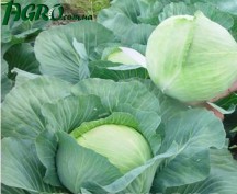 1agro.com.ua