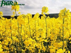 1agro.com.ua