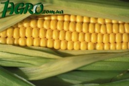 1agro.com.ua