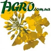 1agro.com.ua
