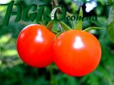 1agro.com.ua