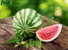 1agro.com.ua