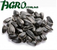 1agro.com.ua