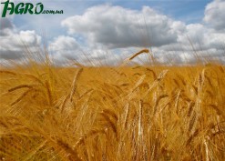 1agro.com.ua