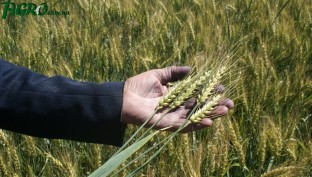 1agro.com.ua