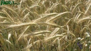 1agro.com.ua