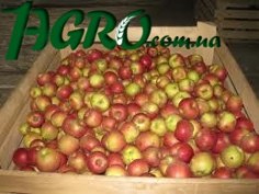 1agro.com.ua