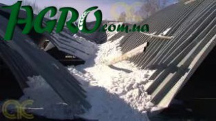 1agro.com.ua