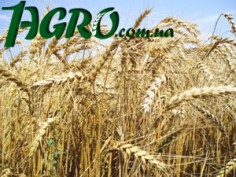 1agro.com.ua
