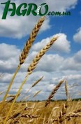 1agro.com.ua