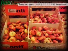1agro.com.ua