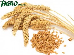1agro.com.ua