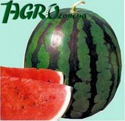 1agro.com.ua